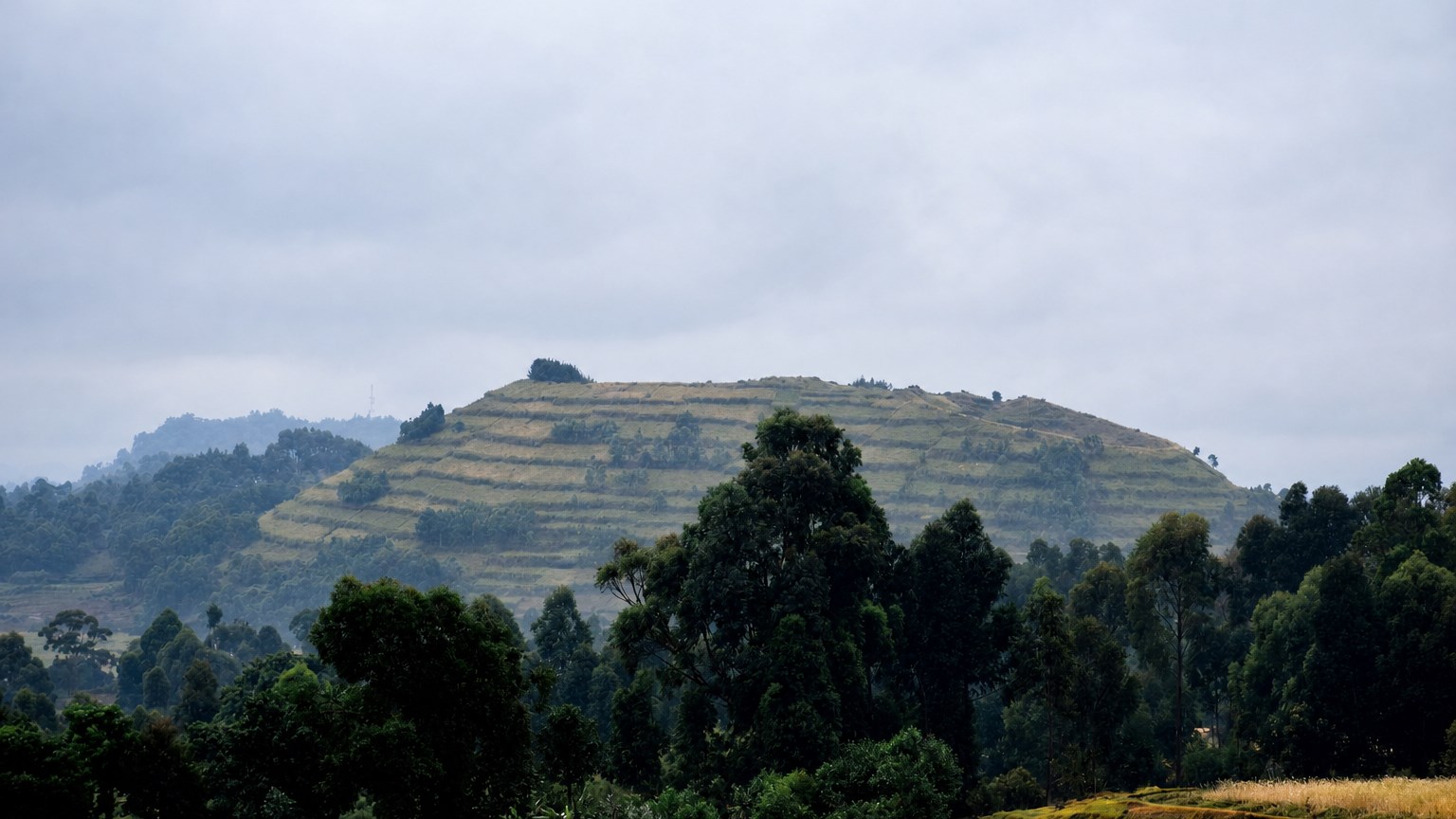Mountain ecosystems and sustainable environmental management