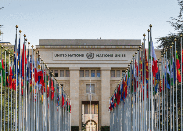 Environmental Governance