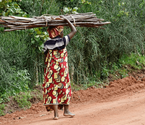 Livelihood 