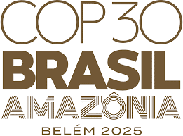 EMLI COP30 Updates
