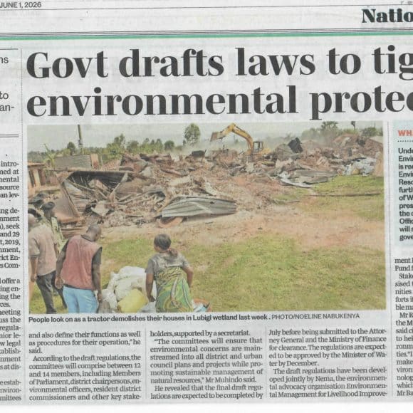 EMLI in the News